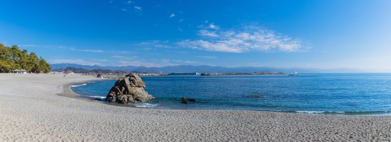 AdobeStock_575152397